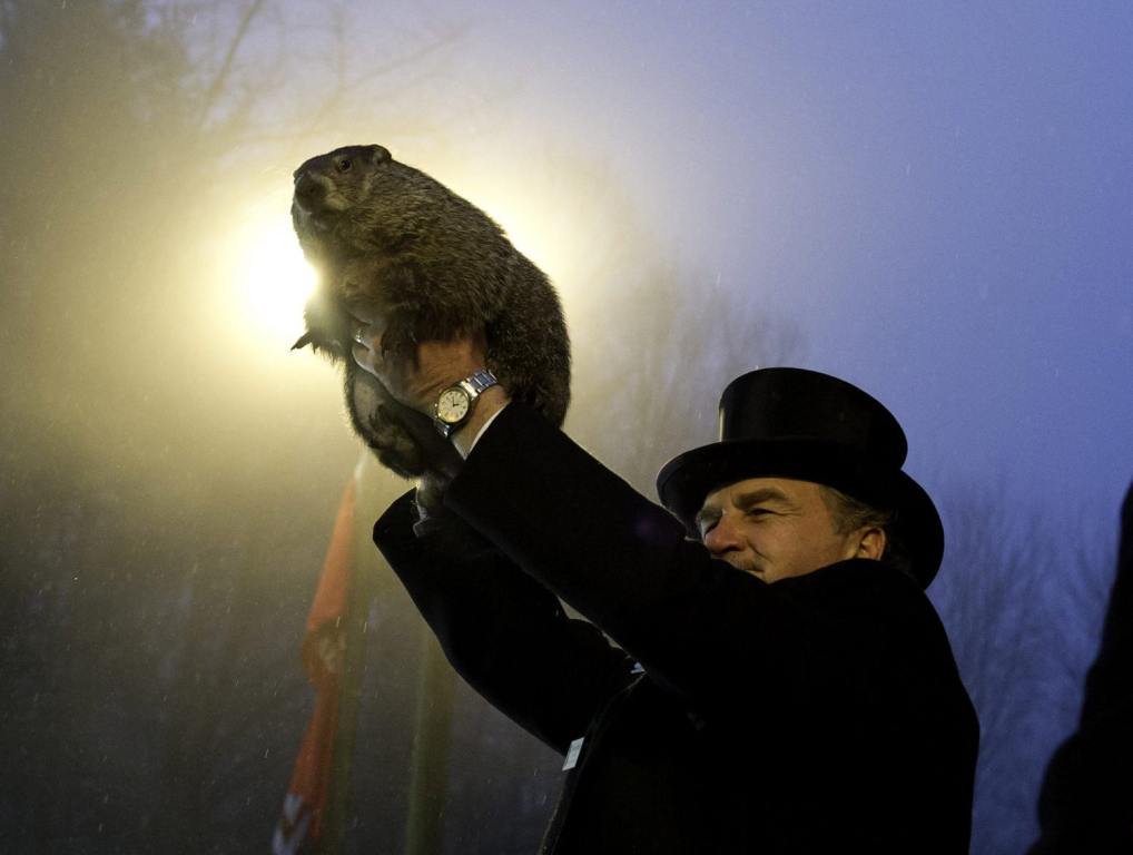 Peta Wants Punxsutawney Phil Replaced With Groundhog Robot