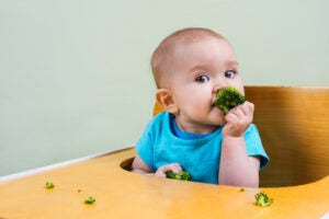 Baby Eating Broccoli