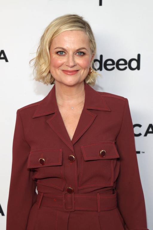 Amy Poehler attends the "First Time Female Director" premiere