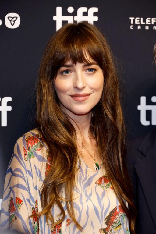 Dakota Johnson attends the "Daddio" premiere wearing her long auburn hair down with bands and a colorful top.