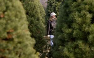 Shoppers Cut Christmas Trees