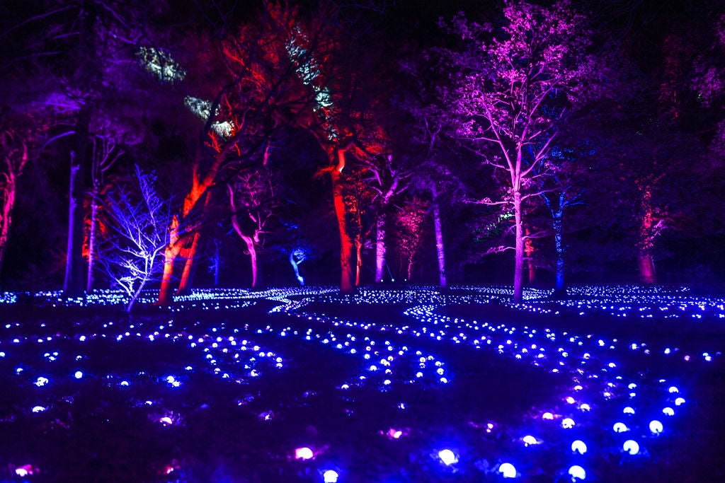 Last Chance To See ZooLights And WinterLights In Massachusetts This Weekend