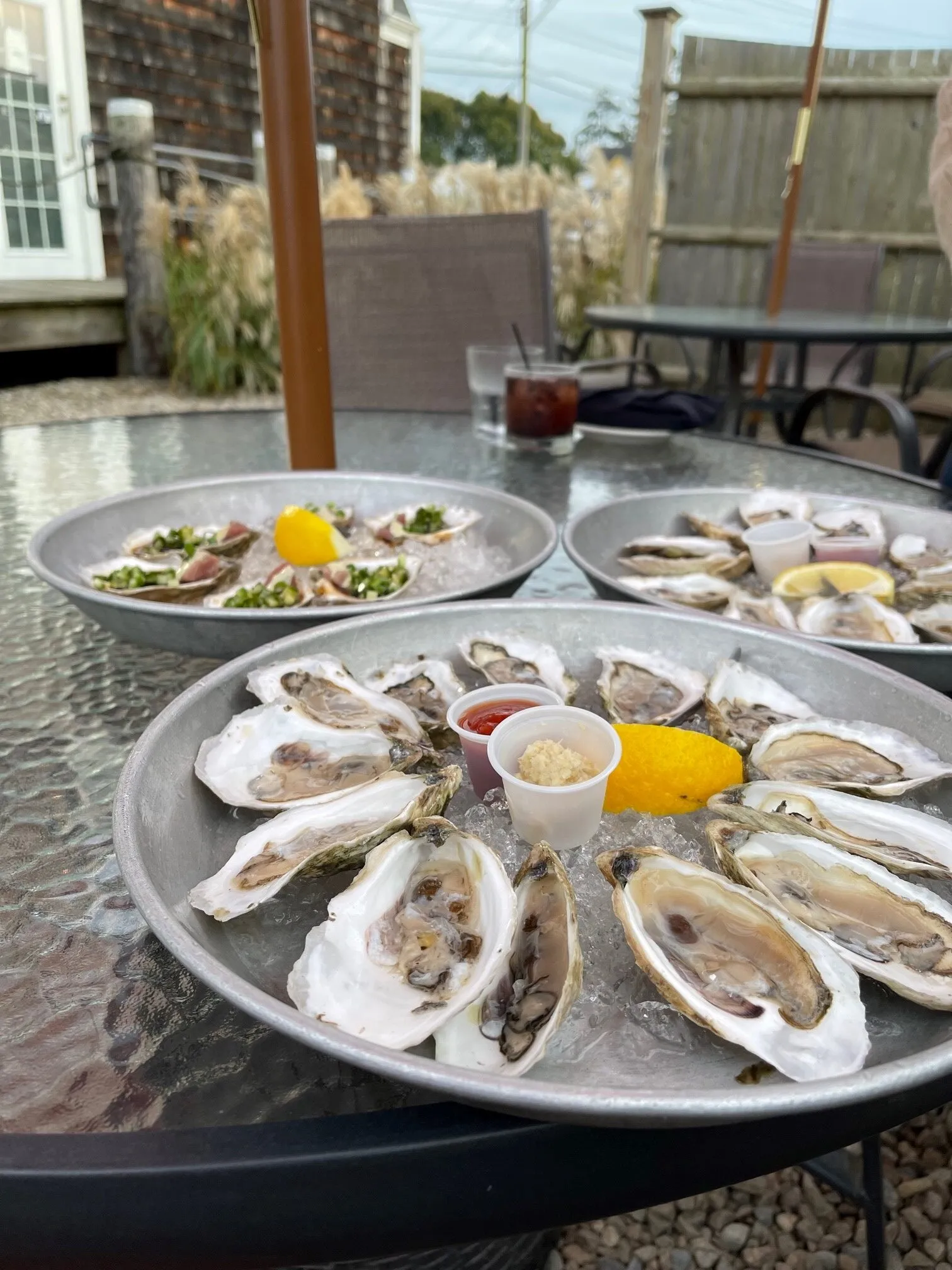 $1 oysters at The Oyster Company